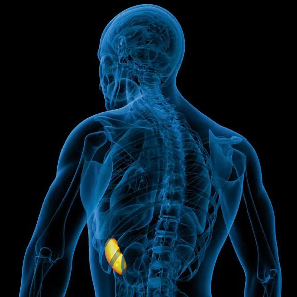 ¿No soportas el dolor de espalda? Consulta a un médico.